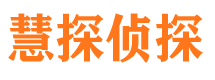 阿克陶调查公司